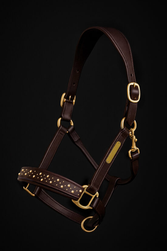 Lederhalfter Sparke Topaz 