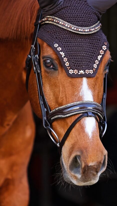 Trense Lumière Topaz